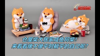 天闻角川。仓屋柴犬。居家咸鱼。阿柴。重量级。盲盒。手办。