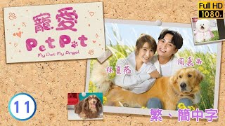 TVB愛情喜劇線上看 | 寵愛Pet Pet 11/20 | 姜大衞(青松)懷疑周嘉洛(聲仁)一腳踏兩船 |林夏薇 |周嘉洛 |粵語中字 |2003 |My Pet My Angel