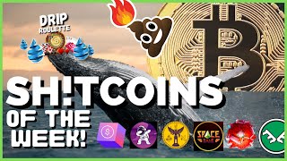 SH!TCOINS of the WEEK : Why Whales are made in Bear Markets.