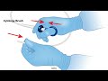 HCC 1472-Lesson-9b- Tissue brush cytology and handling