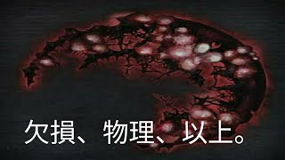 【Bloodborne】序盤から取れる改造聖杯貞子欠損物理おすすめマラソン 物理攻撃20.3％OP物理攻撃＋16.9 序盤無双