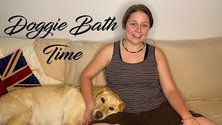 Doggie Bath Time: Colleen's Seeing Eye Dog Vlog