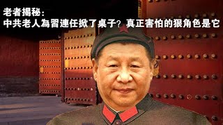 老者揭秘：狠角色出场 中共老人为习连任吵翻了天？