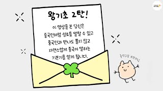 이번엔 성조입니다🌟 광고 아니고 수업임 | 기초의 신 성구현쌤😎 | 중고급자 시청 금지🙅‍♀️