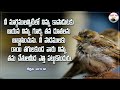 నీకు సహాయం దొరికే స్థలం ఆయన daily bible verse 29 08 24 sajeeva vakyam bible info telugu