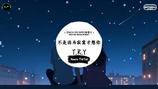 不是因为寂寞才想你 (抖音DJ版)  - T.R.Y『相遇在人海 聚散在重逢之外，醒来的窗台 等着月光洒下来。』♪ || 这音乐一听就上头 ♪【動態歌詞/Pinyin/Lyrics Video】♪