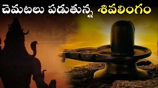 ప్రతిరోజూ శివుడుకి పూజ చెస్తున్న ఏనుగు/jambukeswara temple history/#shiva