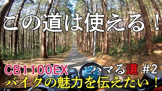 【CB1100EX】ハマる道　#2　～この道は使える！～【モトブログ】