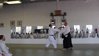 MVI 7189 TOP 3 SHIHAN SEMINAR SENDOKAN DOJO Mustard Shihan