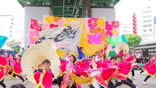 [4K] 愛知淑徳大学 鳴踊　3部 わいわい若宮 2018 (中央)