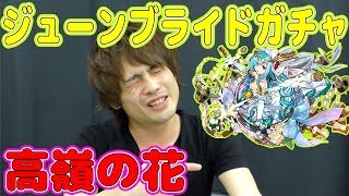 【パズドラ】ジューンブライドガチャ　性能を詳しく説明