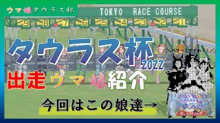 ウマ娘タウラス杯 | さぁ、出走メンバー発表の時間だ！え、もうはじまってるんですか…？