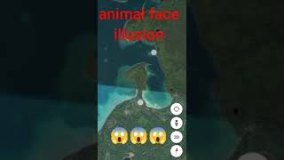 #52 weird 😱😱and scary face illusion. animal in Google earth and Google map. secret earth places.