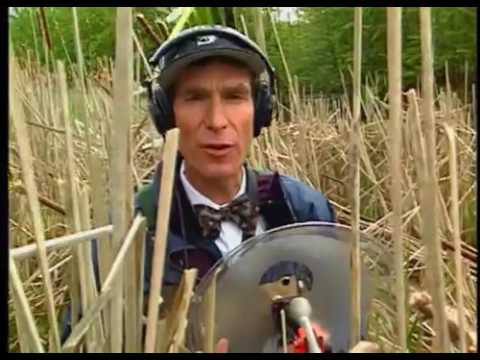 Bill Nye The Science Guy Amphibians Youtube