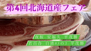 【第4回北海道産フェア】共同肥育センター⁉︎いざ出陣！牛大好き株式会社ファームスズキ【なおちゃんねる】