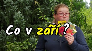 🔔 Jak se připravit na PODZIM na ZAHRADĚ a co vše se dá dělat?! 👩‍🌾 Co na zahradě v září?