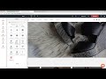 Text Animations Widget | Tutorial by Without Code