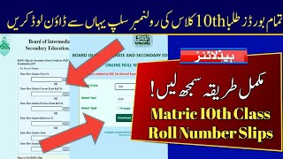 How to check 10th roll number slips online 2025 - Roll Number Slips of Matric 10th Class