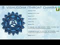 significance of 7 chakra effect on physical n mental health by deepali didi