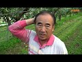 박기활의 사과·배 유기재배 이야기 park gi hwal organically grows apples and pears.