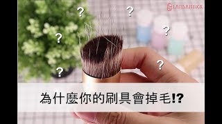 傷腦筋，刷具總是掉毛該怎麼辦？ LSY 林三益【清潔刷具】