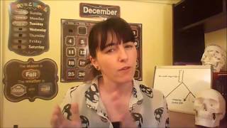 Evolution: Why are monkeys still here?