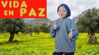 DEJAMOS TODO PARA VIVIR EN EL CAMPO 🌻 | Avances en Nuestra Cabaña (Ep. 75)