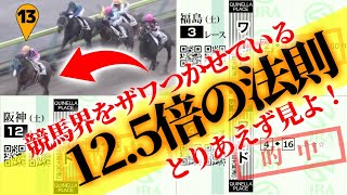 【競馬 オッズの法則】ワイド１２.５倍の法則を使って的中率と回収率も急上昇！ #096