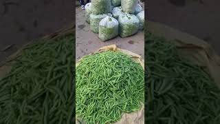 🥵Hanumangarh Mandi💥ka sabji ka👀rate🌶hari mirch45₹🥒matar20₹#farming#hari#mirchi #mata🙌#farmer👨‍🌾#love