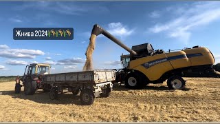 Жнива 2024! Ячмінь ярий Квенч урожай є!! Комбайн New Holland CX6090 в роботі!!!