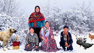 First Snowfall in the Village | Caring for Livestock \u0026 Cooking Stuffed Eggplants