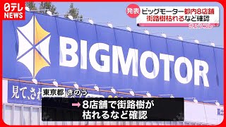 【ビッグモーター】都内8店舗で街路樹枯れるなど確認　小池知事「人為的なら言語道断」