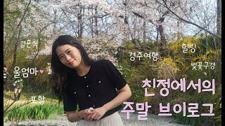 (VLOG) 존재만으로도 든든한 친정에서의 하루. 근데 술을 약간 곁들인^^ / 경주,벛꽃,힐링,결혼식,포항,네일,신혼부부,새댁,브이로그,일상,푸들 _ (Clipchamp로 제작)