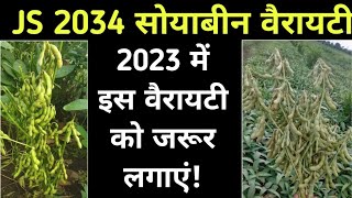 JS 2034 सोयाबीन वैरायटी की पूरी जानकारी / JS 2034 Soybean Veriety / JS 2034 सोयाबीन की खेती