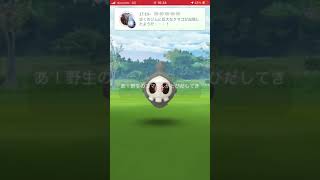 ポケモンGO ヨマワル多すぎwどれがおもちゃのヨマワルでしょー❓