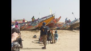 Visit Cayar: Senegal's Largest Fishing Community