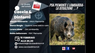 PSA in Piemonte e Lombardia - La situazione