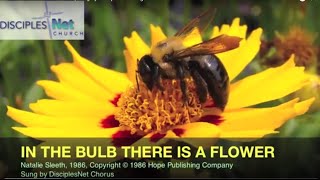 In the Bulb There is a Flower,  sing-along hymn with DisciplesNet Singers