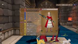 【声あり配信】ドラクエ10　コロシアム　【魔法戦士】