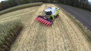 mais dorsen, malen en inkuilen. / Maisernte/ corn harvest