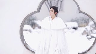 【刘宇B站】梅须逊雪三分白，雪却输梅一段香