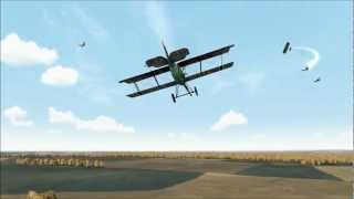 Rise of Flight: Crash of two Pfalz DXII