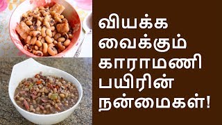 காராமணி பயிரை அடிக்கடி ஏன் உணவில் சேர்க்க வேண்டும்? | karamani payir