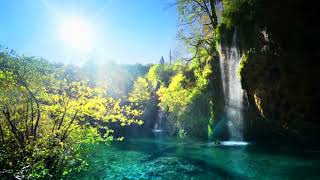 Relaxing Music for Meditation. Calm Background Music for Stress Relief, Sleep, Y
