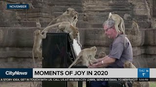 Moments of joy in 2020