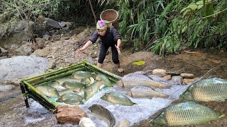 Use bamboo to weave a trap at a waterfall and suddenly get a 10kg giant fish. Fish trapping skills