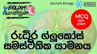 රුධිර ග්ලූකෝස් මට්ටමේ සමස්ථිතික යාමනය|Homeostatic Regulation of Blood Glucose Level| EduTalk Biology