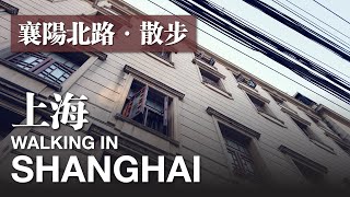 Walking on the North Xiangyang road in Shanghai｜Shanghai Downtown Walking Tour