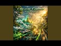 Eco-Synth Peak