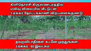 மலிவு விலையில் கிளிநொச்சி கிருஸ்ணபுரத்தில் 3 ஏக்கர் தோட்டக்காணி விற்பனைக்குண்டு | Kilinochchi land |